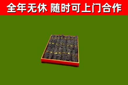 大鹏新区回收海参